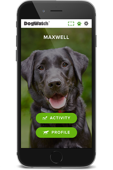 DogWatch of Southern Kentucky, Glasgow, Kentucky | SmartFence WebApp Image