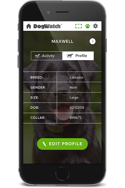 DogWatch of Southern Kentucky, Glasgow, Kentucky | SmartFence WebApp Image