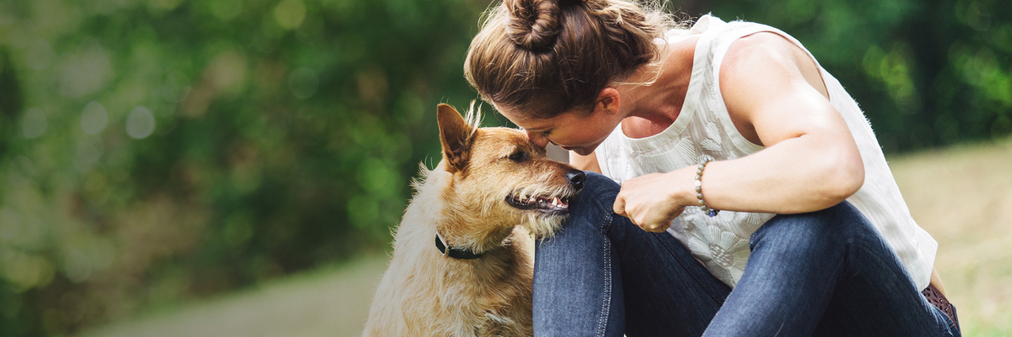 DogWatch of Southern Kentucky, Glasgow, Kentucky | BarkCollar No-Bark Trainer Slider Image